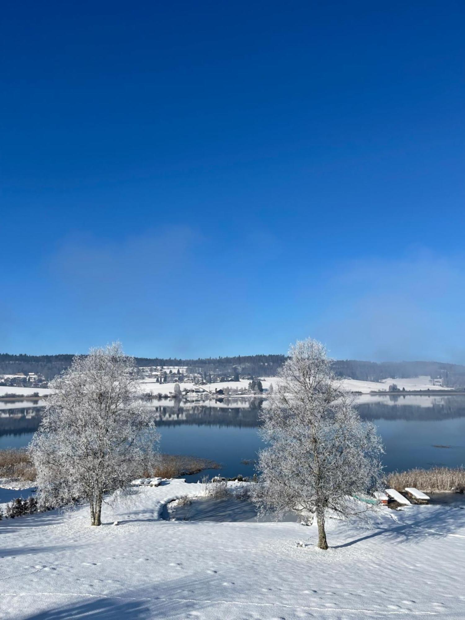 Chalet-Michel Avec Spa Montperreux エクステリア 写真